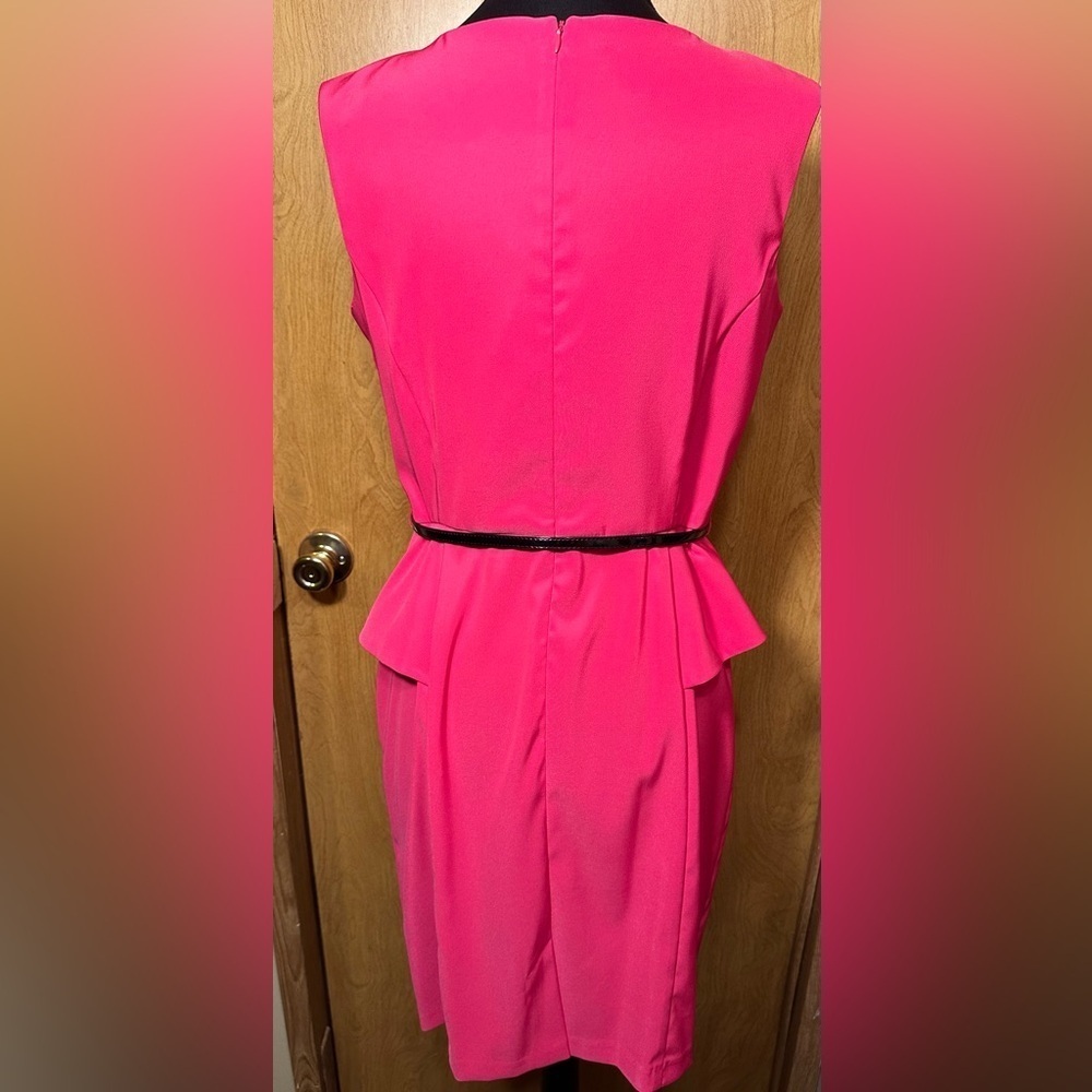 Alyx hot pink size 12 sleeveless sheath dress - Picture 4 of 10